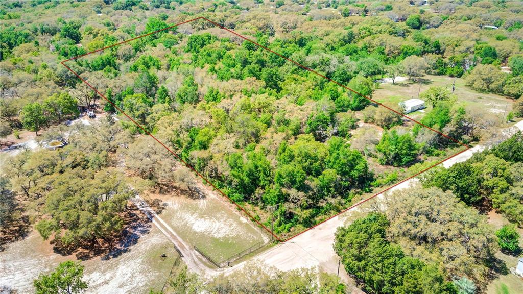 Elmont Ave Spring Hill Spring Hill, FL 34610 - Photo 1 of 1 a view of a garden with a plant
