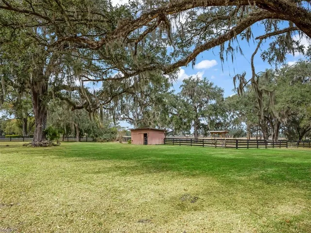 a view of a park with large trees