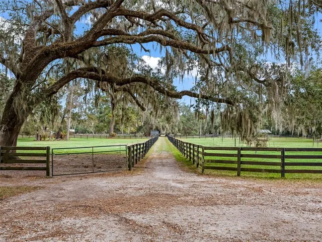 a view of a back yard