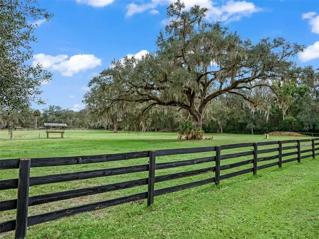a view of a park with large trees