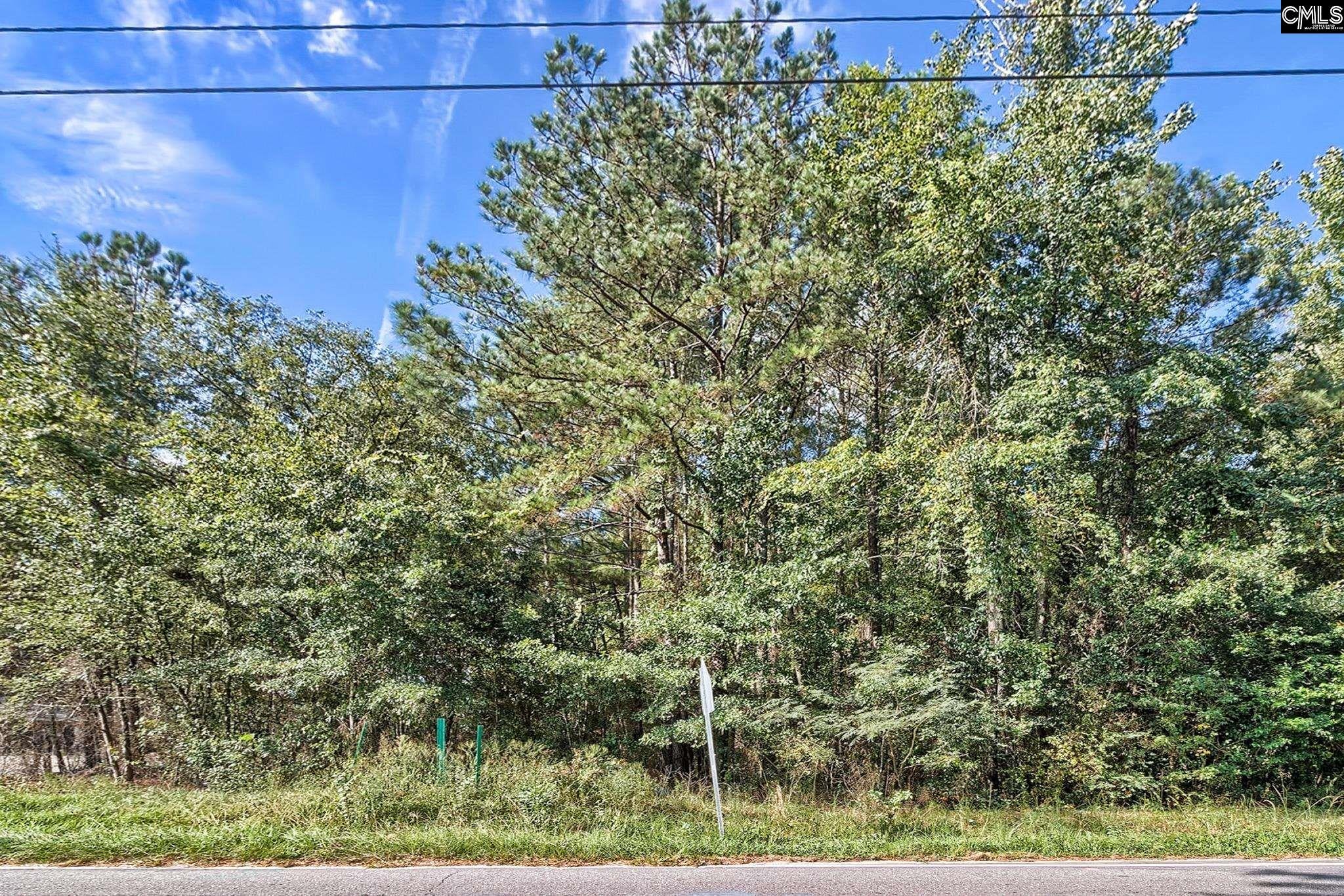 0 Sumpter Road Hopkins, SC 29061 - Photo 5 of 10 Gallery Image 5