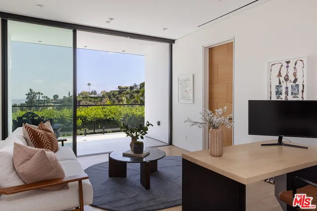 a living room with furniture potted plant and a large window