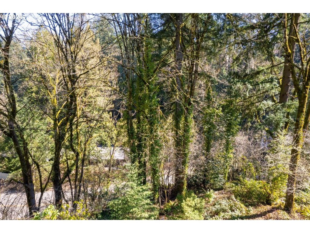 Southwest Fairview Boulevard Portland, OR 97205 - Photo 11 of 19 Gallery Image 11
