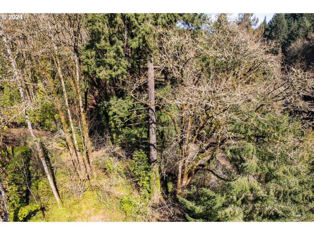 Southwest Fairview Boulevard Portland, OR 97205 - Photo 16 of 19 Gallery Image 16