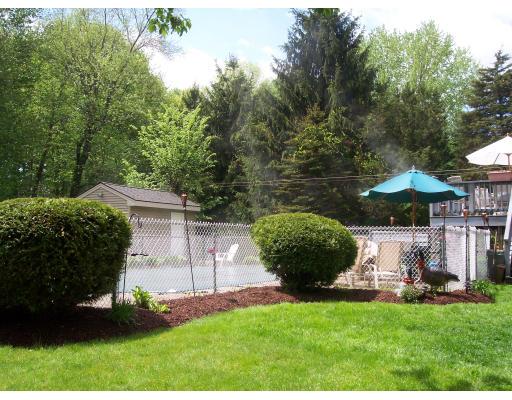 309 Mason Rd Extension Dudley, MA 01571 - Photo 11 of 13 a view of a backyard with potted plants and large trees