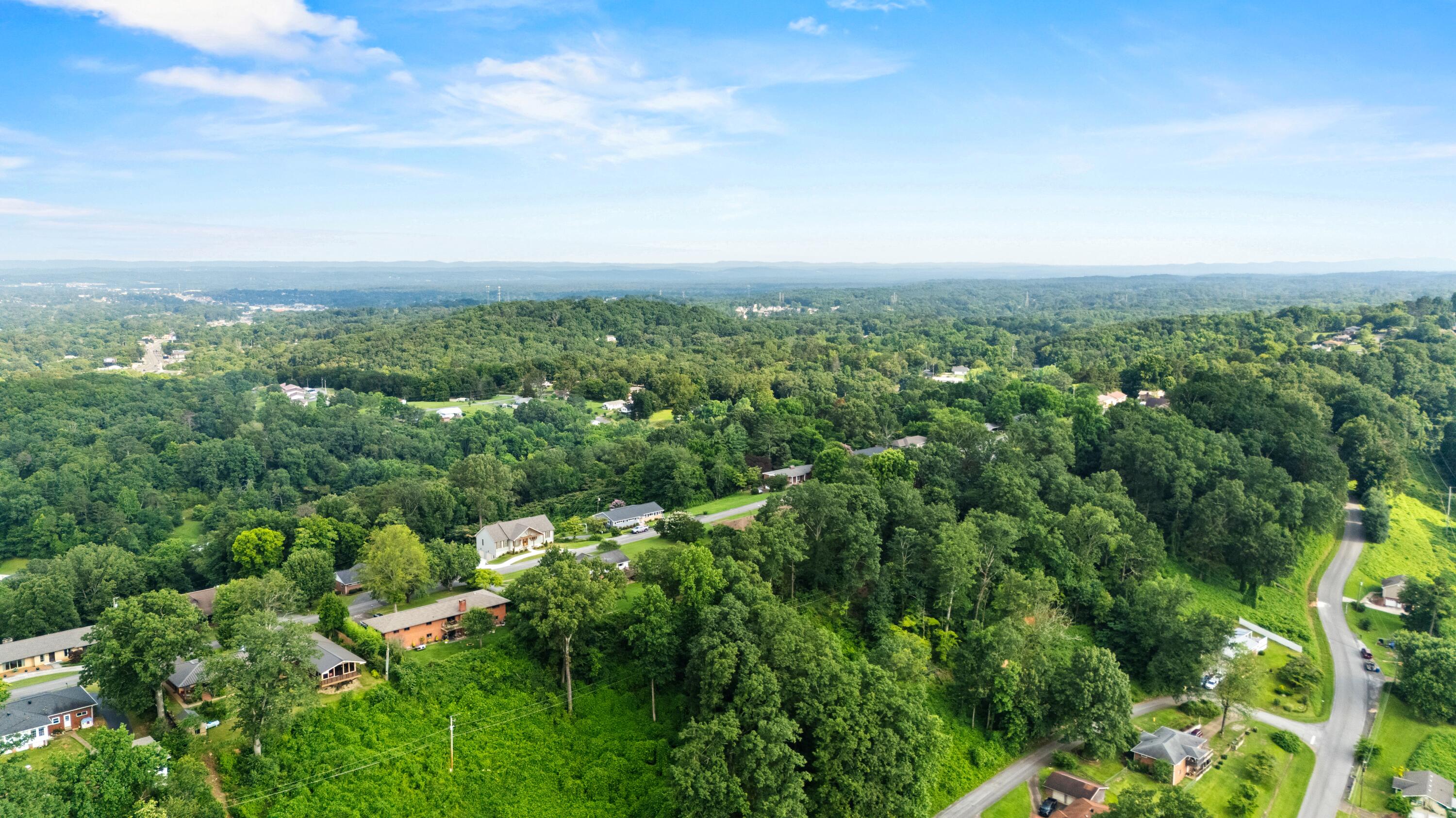 164 South Mission Ridge Drive Rossville, GA 30741 - Photo 9 of 16 DJI_20250611175740_0740_D