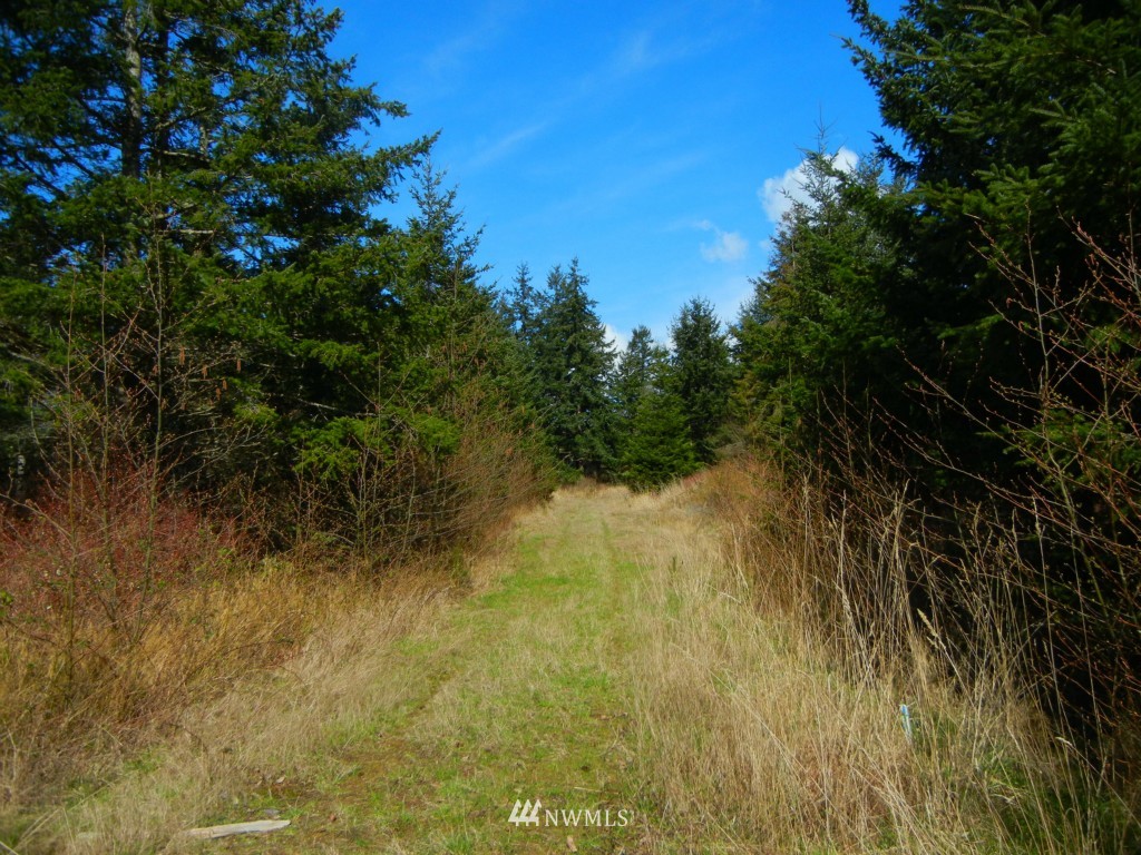 273 Weeks Road Lopez Island, WA 98261 - Photo 1 of 12