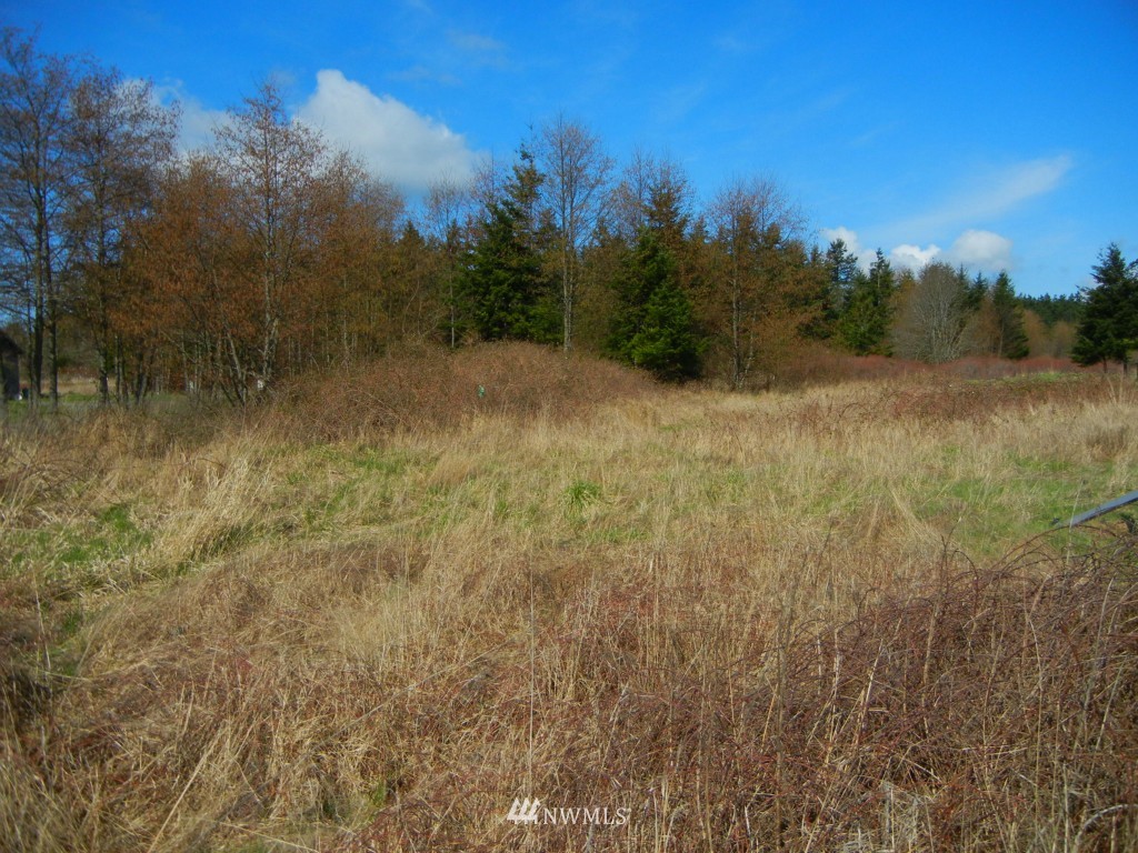 273 Weeks Road Lopez Island, WA 98261 - Photo 11 of 12