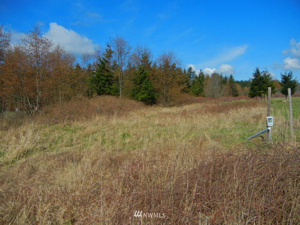 273 Weeks Road Lopez Island, WA 98261 - Photo 12 of 12