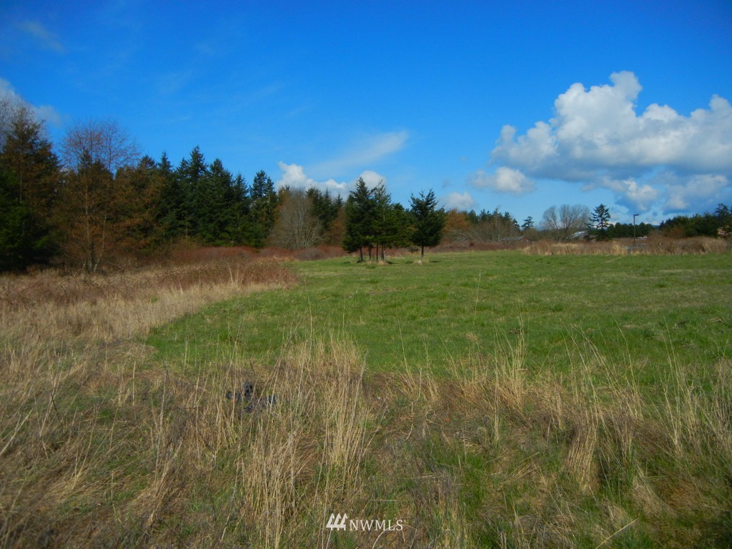 273 Weeks Road Lopez Island, WA 98261 - Photo 4 of 12