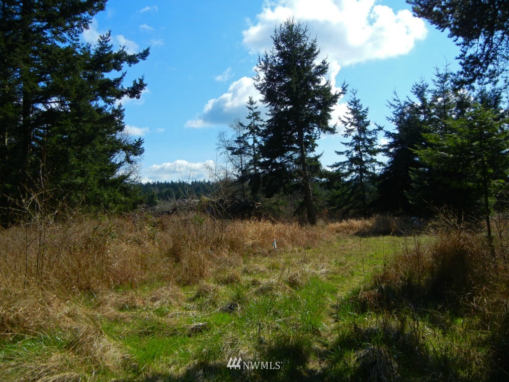 273 Weeks Road Lopez Island, WA 98261 - Photo 5 of 12
