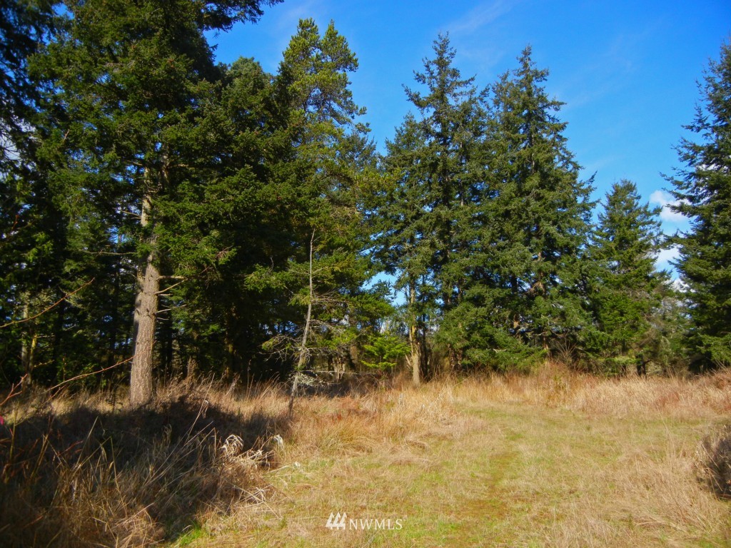 273 Weeks Road Lopez Island, WA 98261 - Photo 6 of 12