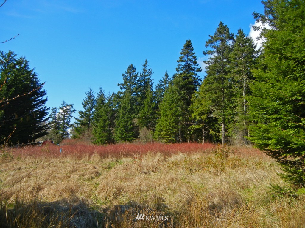 273 Weeks Road Lopez Island, WA 98261 - Photo 8 of 12