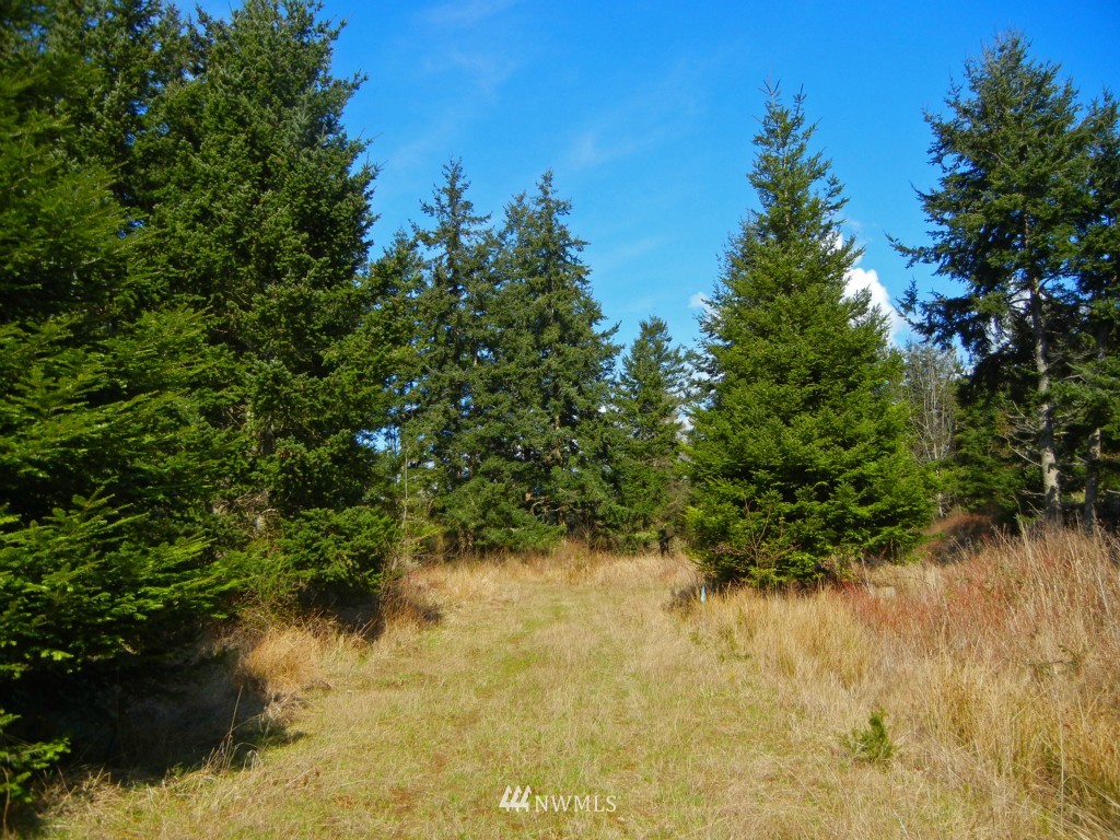 273 Weeks Road Lopez Island, WA 98261 - Photo 9 of 12