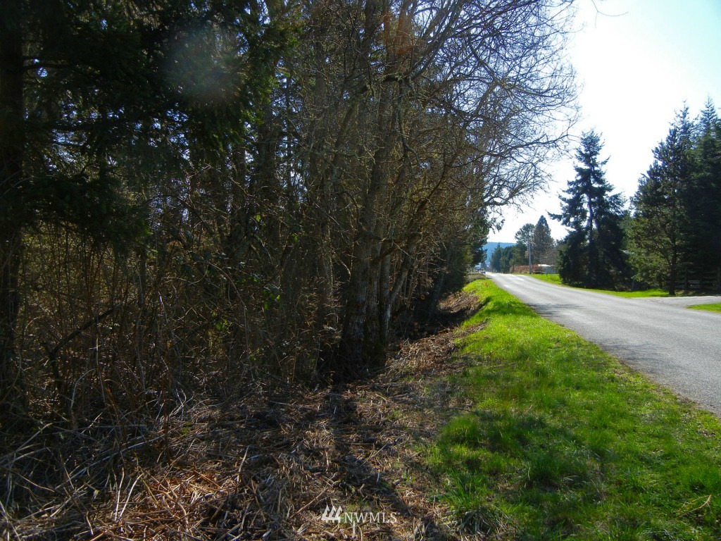 273 Weeks Road Lopez Island, WA 98261 - Photo 10 of 12