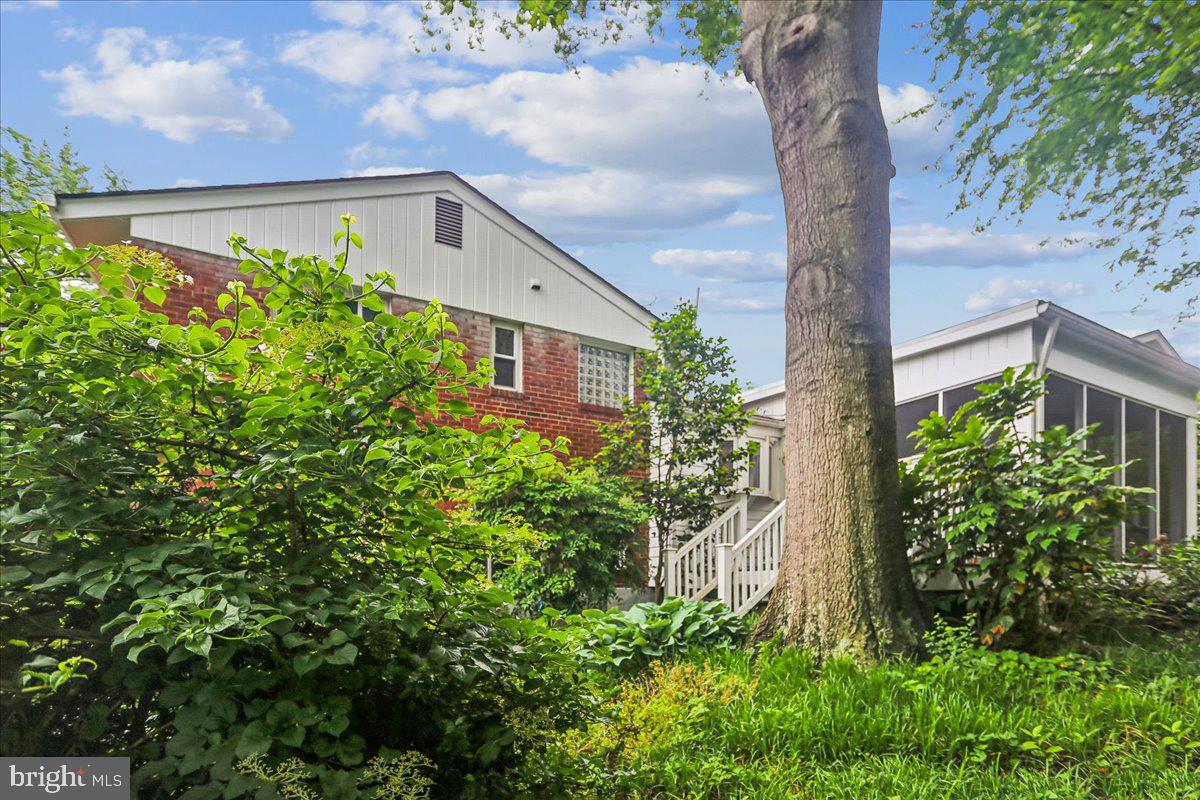 1703 Tilton Drive Silver Spring, MD 20902 - Photo 38 of 39 Charming home nestled in lush greenery.