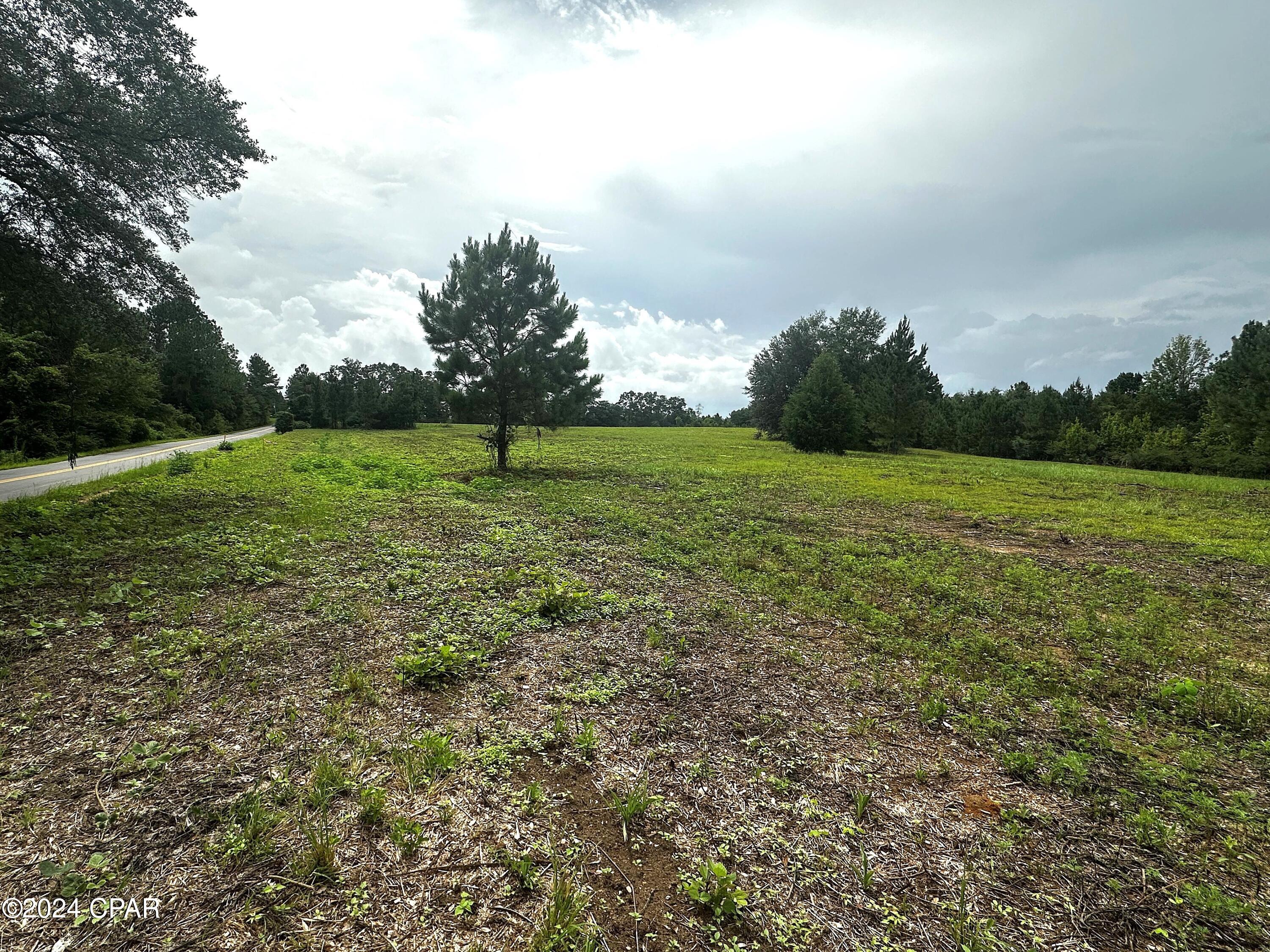 Tbd Sloan Road Graceville, FL 32440 - Photo 4 of 4