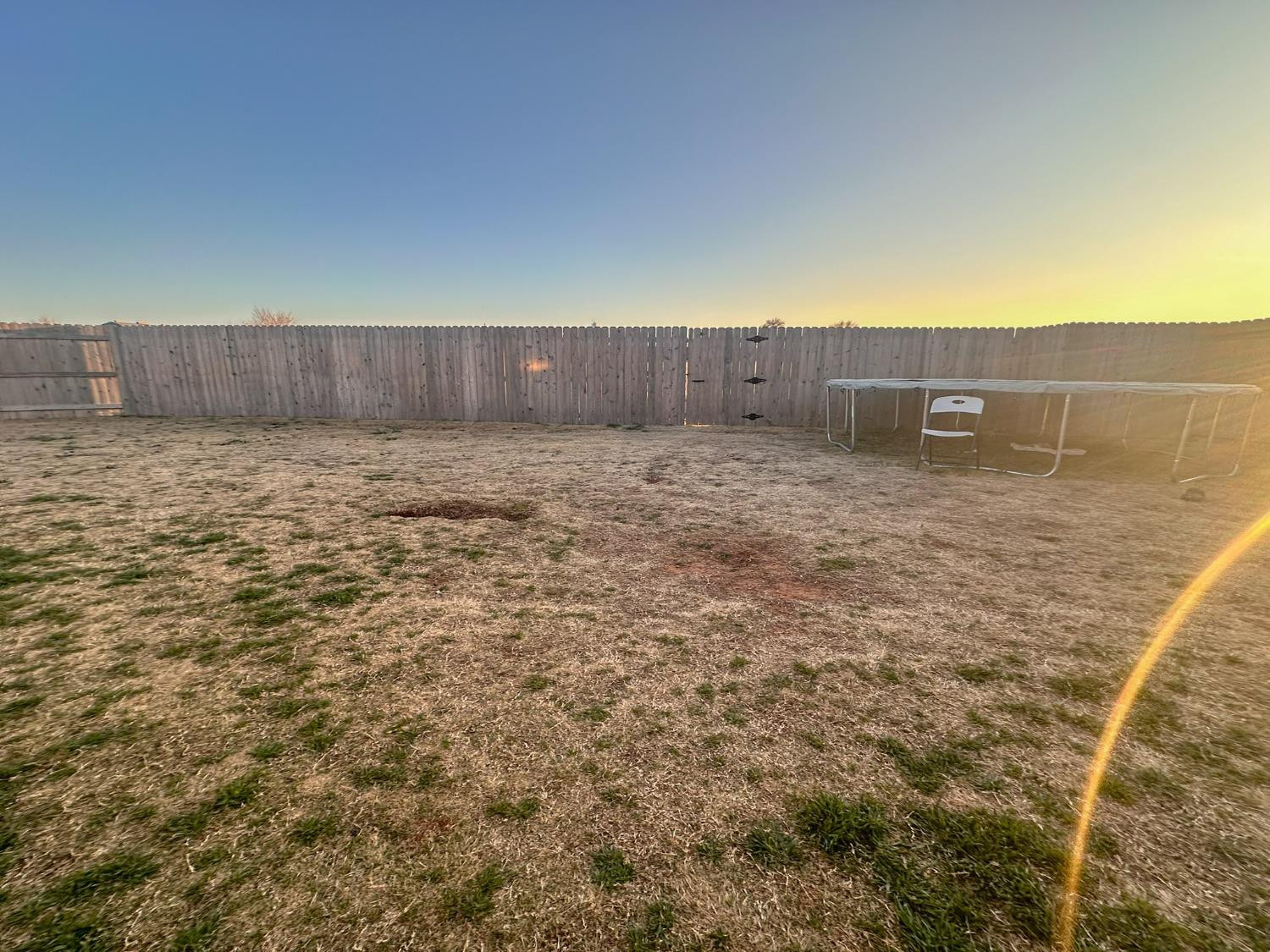 323 Ranger Street Wolfforth, TX 79382 - Photo 43 of 48 a view of a backyard
