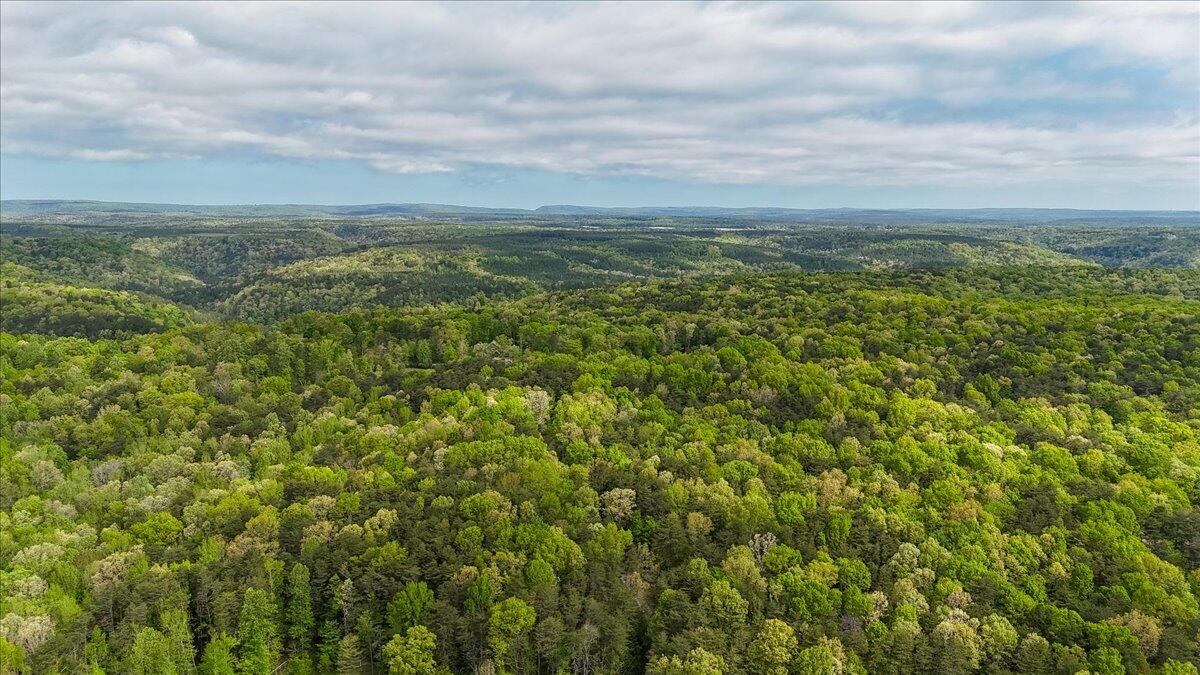 8981 Big Bend Road, Unit TRACT D Signal Mountain, TN 37377 - Photo 8 of 20 10-DJI_20250428104805_0074_D