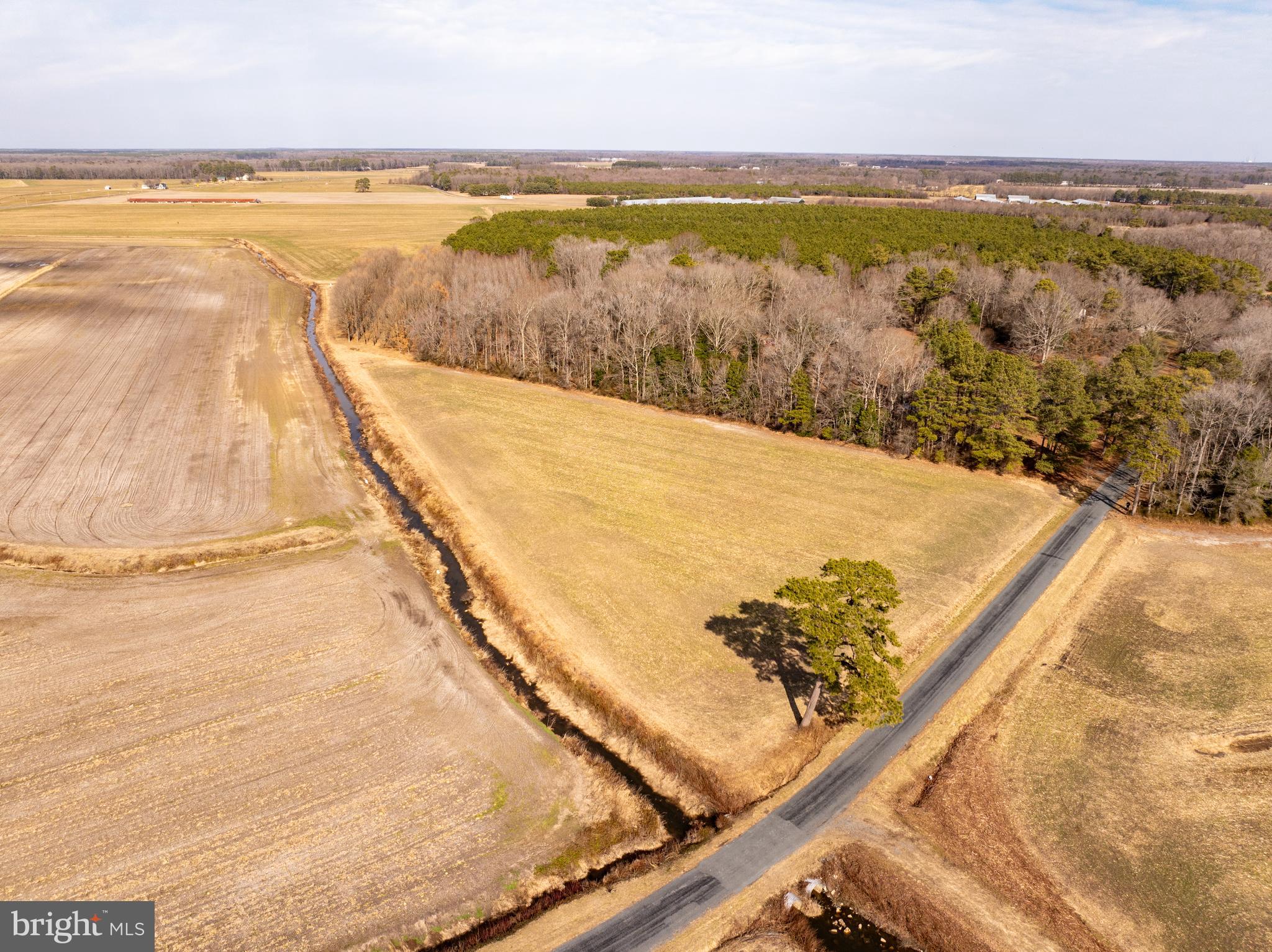 0 Tingle Road Willards, MD 21874 - Photo 17 of 19 a view of an ocean