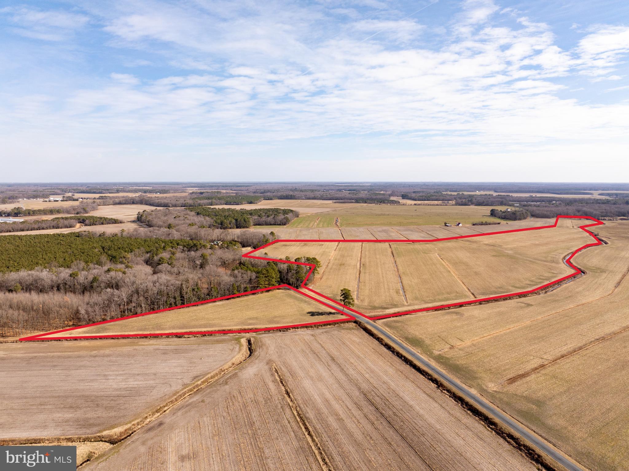 0 Tingle Road Willards, MD 21874 - Photo 2 of 19