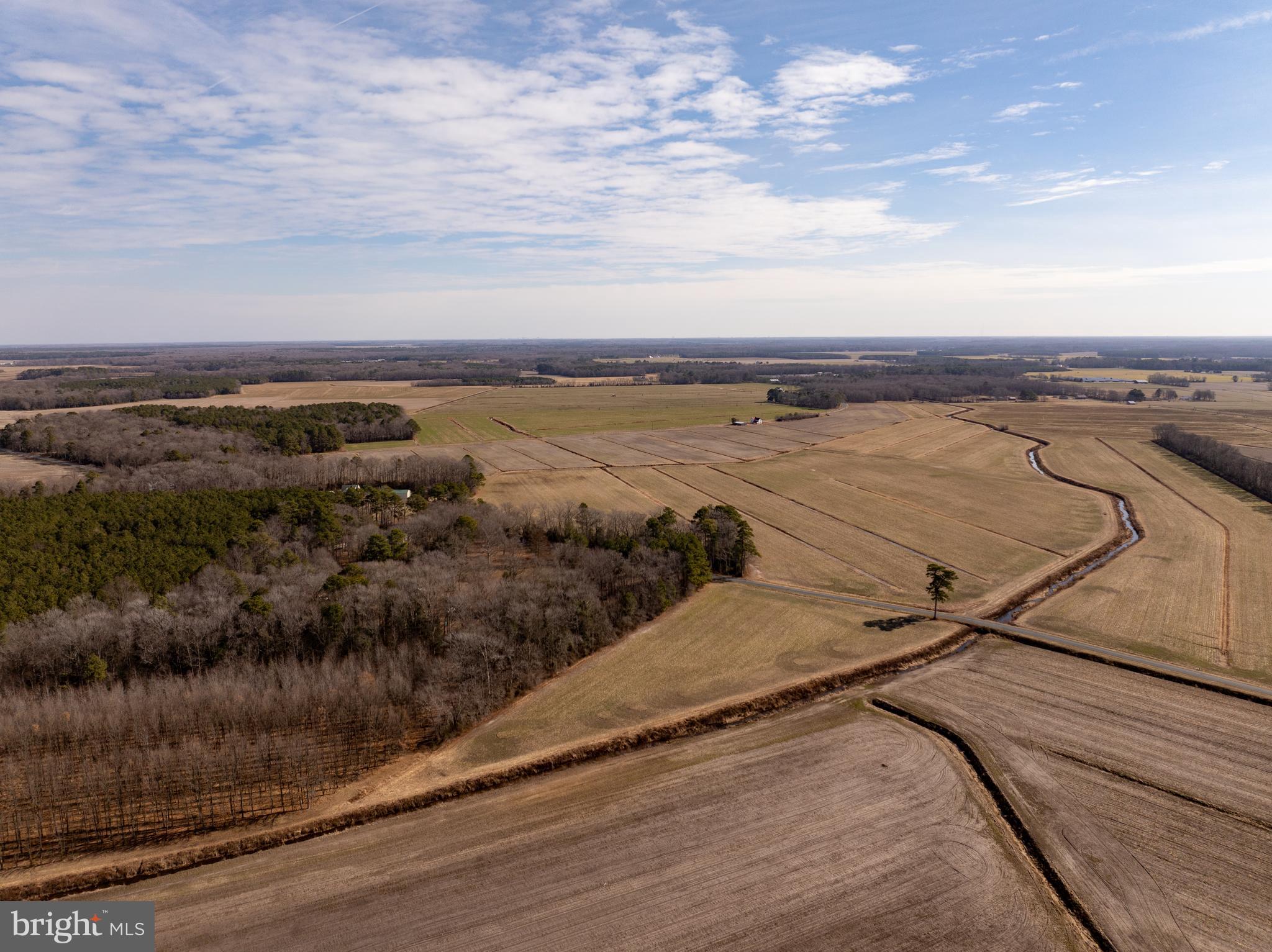 0 Tingle Road Willards, MD 21874 - Photo 5 of 19 a view of a terrace with sky view