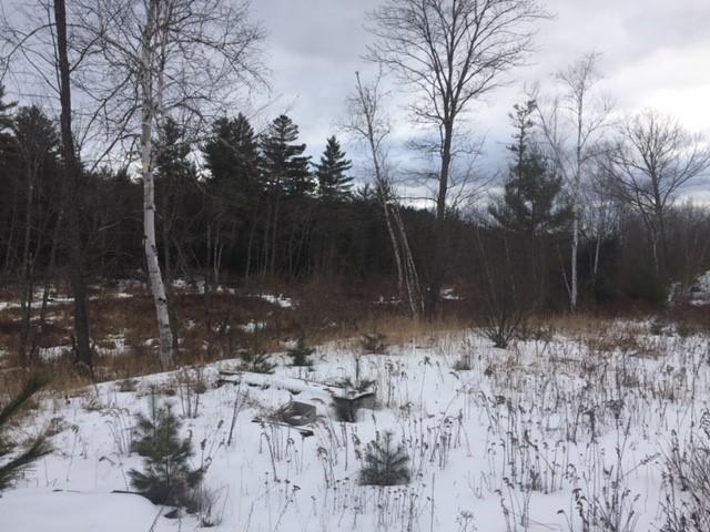 724 Ridge Road Chesterville, ME 04938 - Photo 4 of 7 4