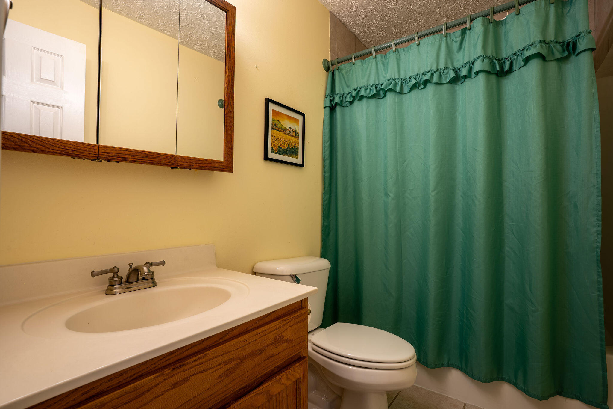 758 Old State Road Menlo, GA 30731 - Photo 22 of 69 A7304563-HDR - Copy - Copy - Copy
