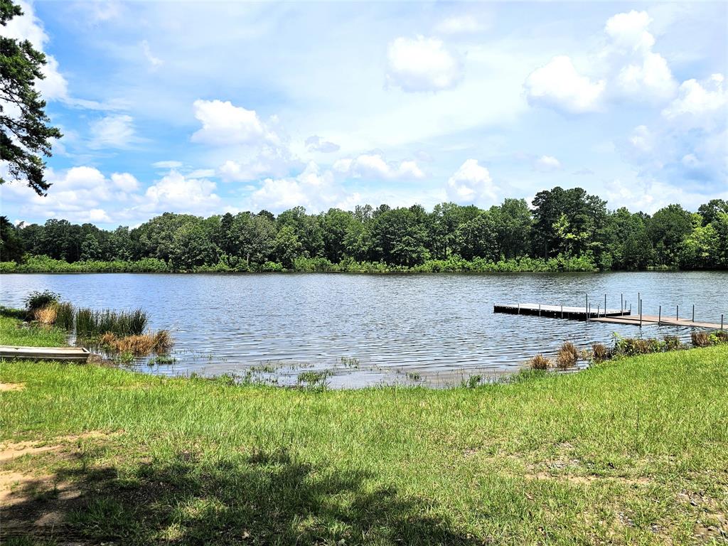 12910 Springhaven Drive Keithville, LA 71047 - Photo 32 of 33 Private community pier and boat launch