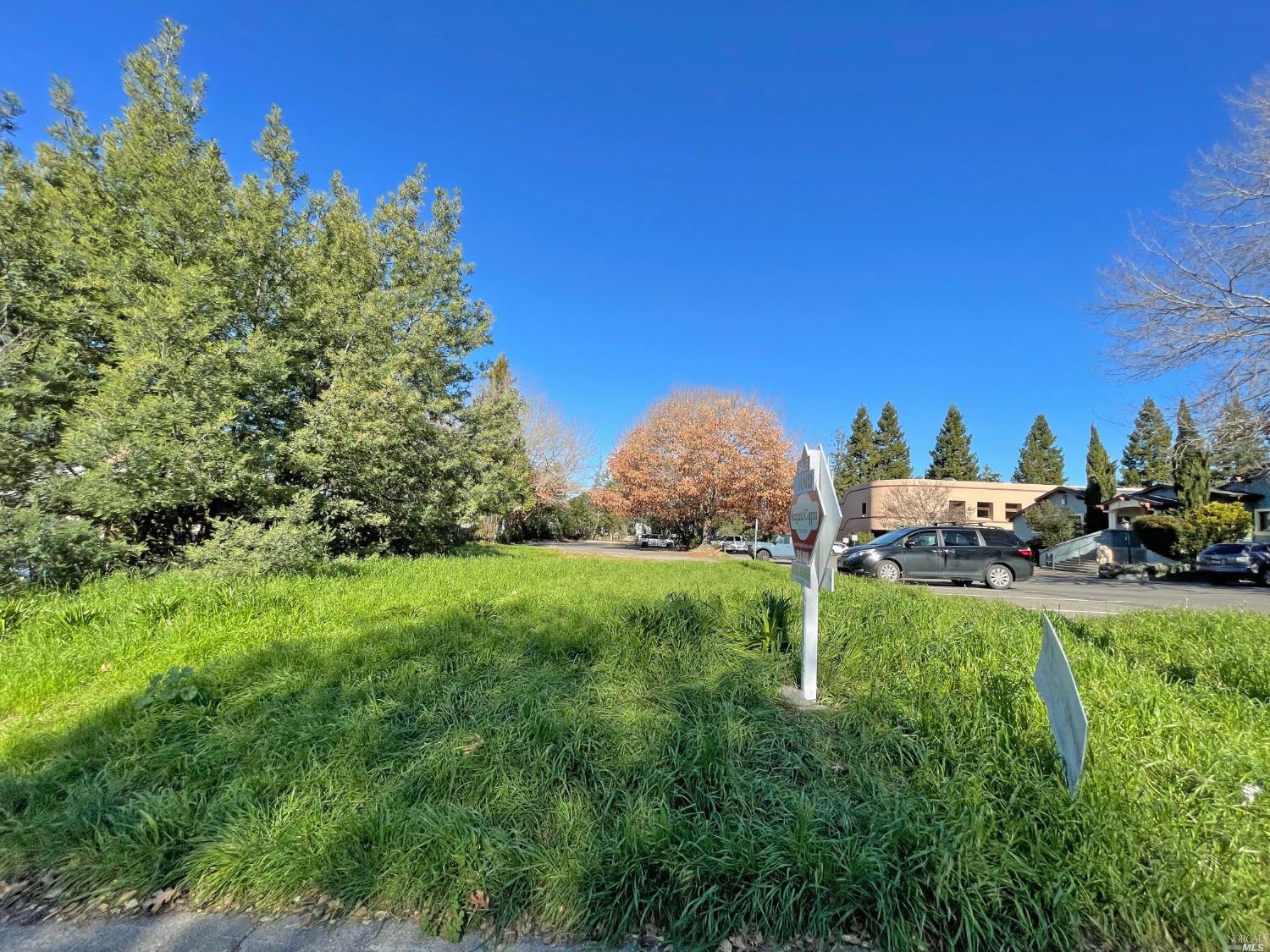 8086 Bodega Avenue Sebastopol, CA 95472 - Photo 3 of 8 a view of a garden