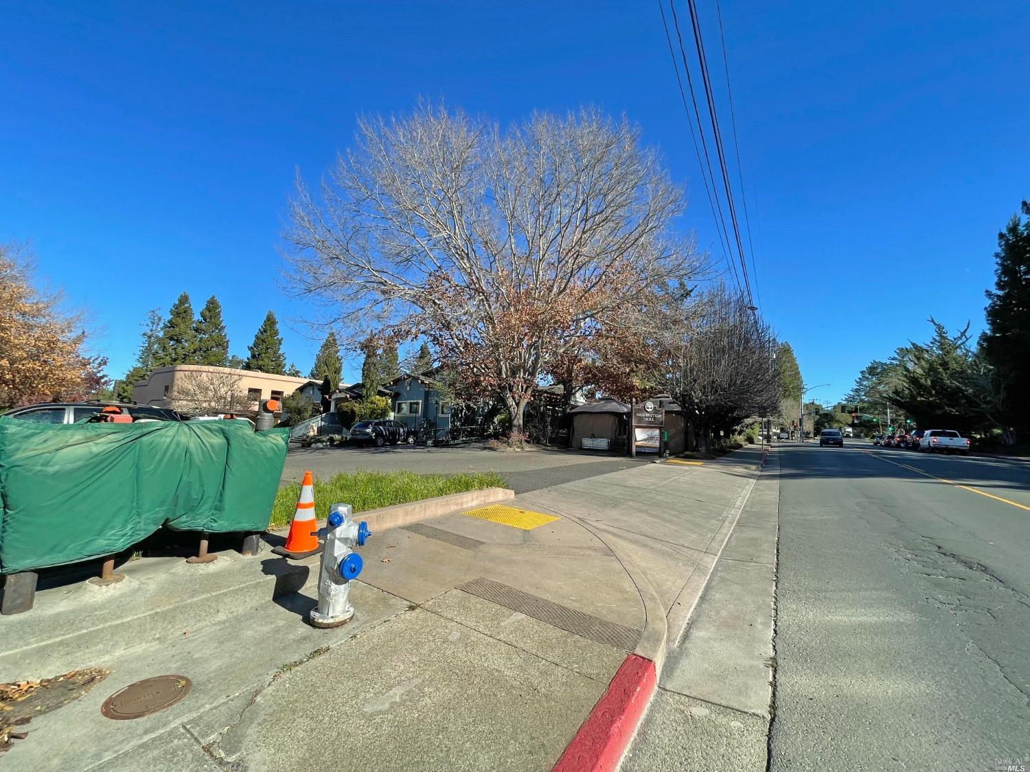 8086 Bodega Avenue Sebastopol, CA 95472 - Photo 7 of 8 a view of a backyard with plants and a tree