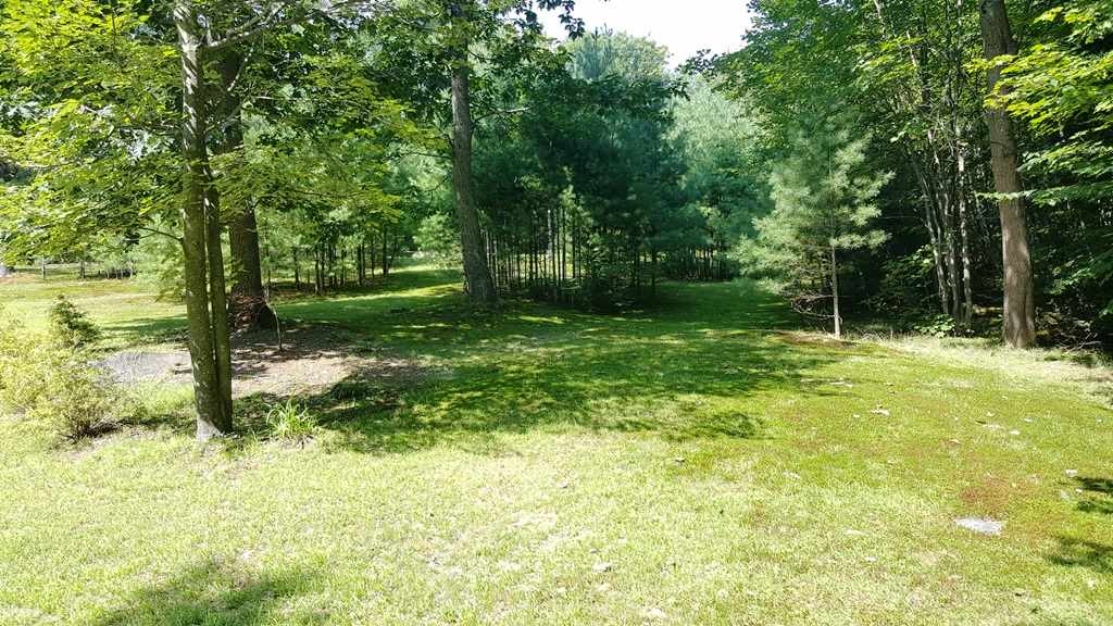 38 Hubbard Pond Road New Ipswich, NH 03071 - Photo 29 of 33