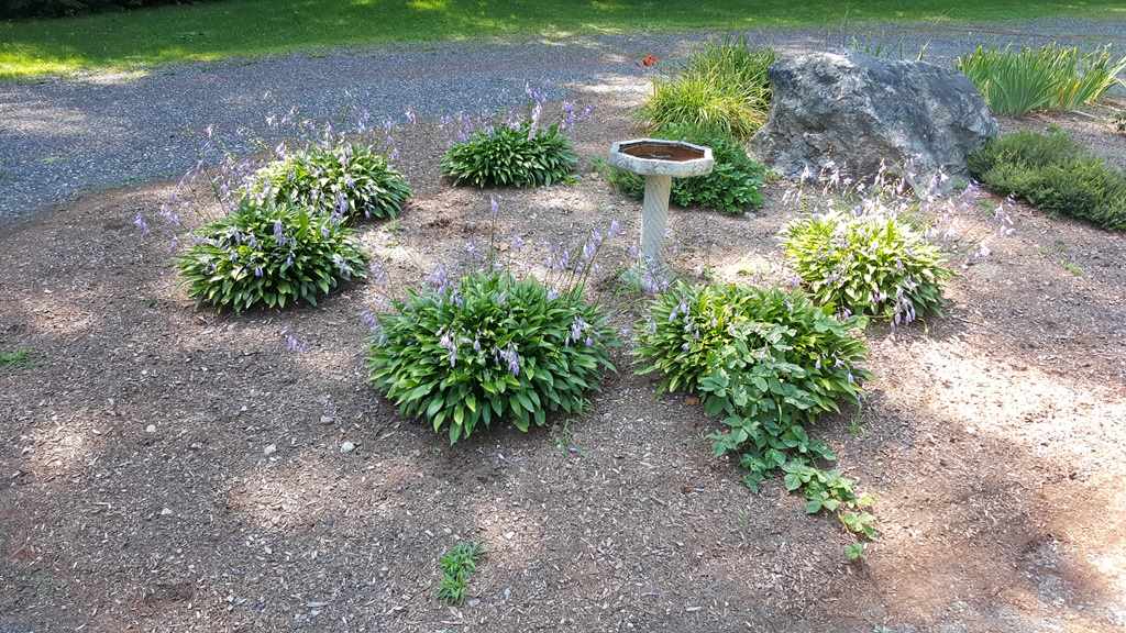 38 Hubbard Pond Road New Ipswich, NH 03071 - Photo 30 of 33