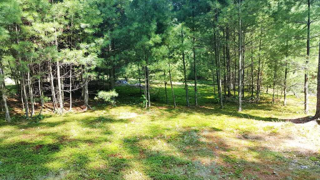 38 Hubbard Pond Road New Ipswich, NH 03071 - Photo 31 of 33