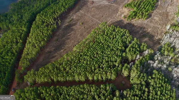 $16,000 | 0 Harmony Lane, Milan, GA 31060