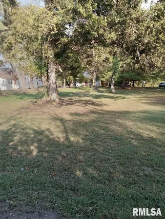 a view of yard with green space