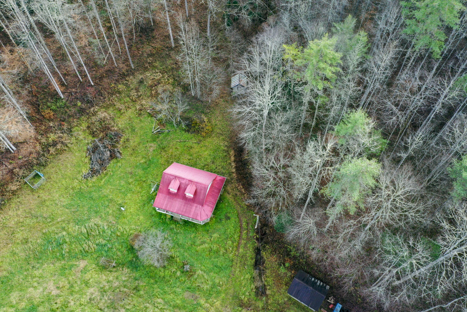 709 Johns Creek Road Del Rio, TN 37727 - Photo 9 of 11 8a