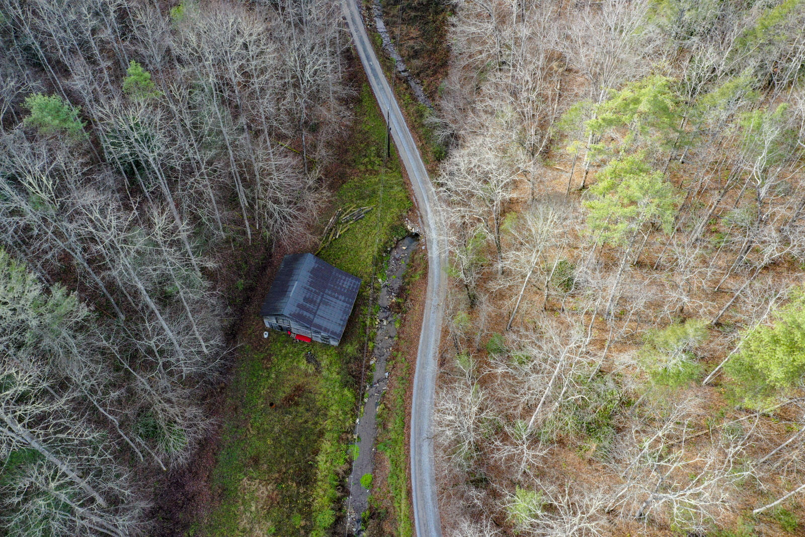 709 Johns Creek Road Del Rio, TN 37727 - Photo 10 of 11 9