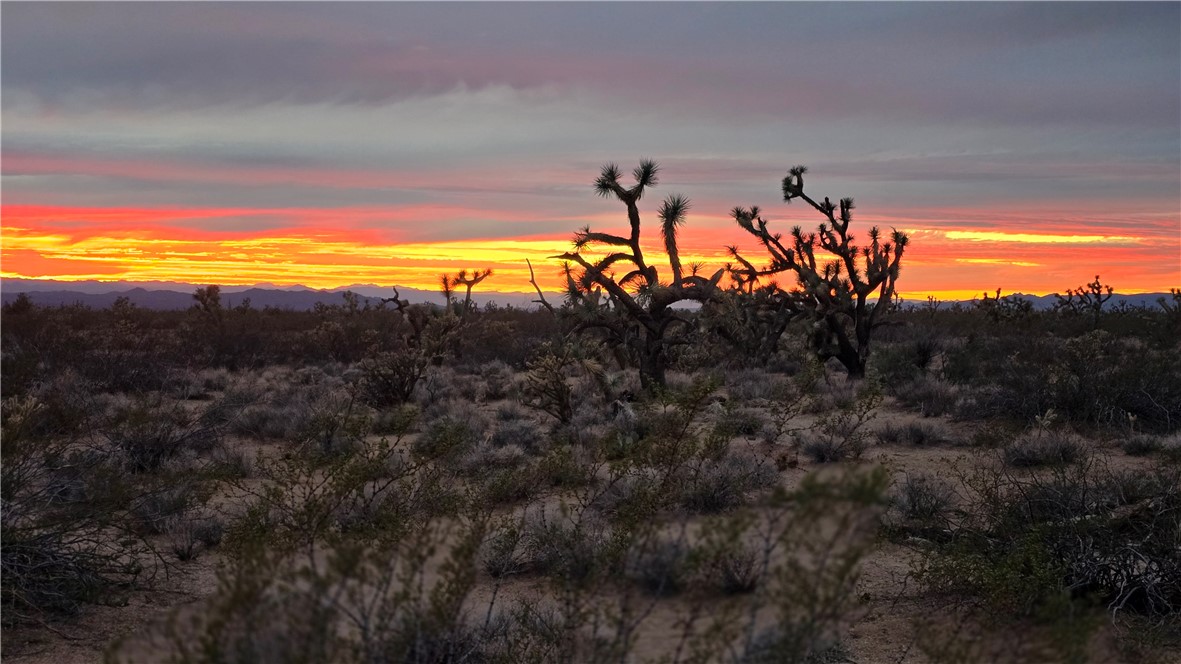 223-30-009 South Sundance Kid Road Yucca, AZ 86438 - Photo 10 of 13