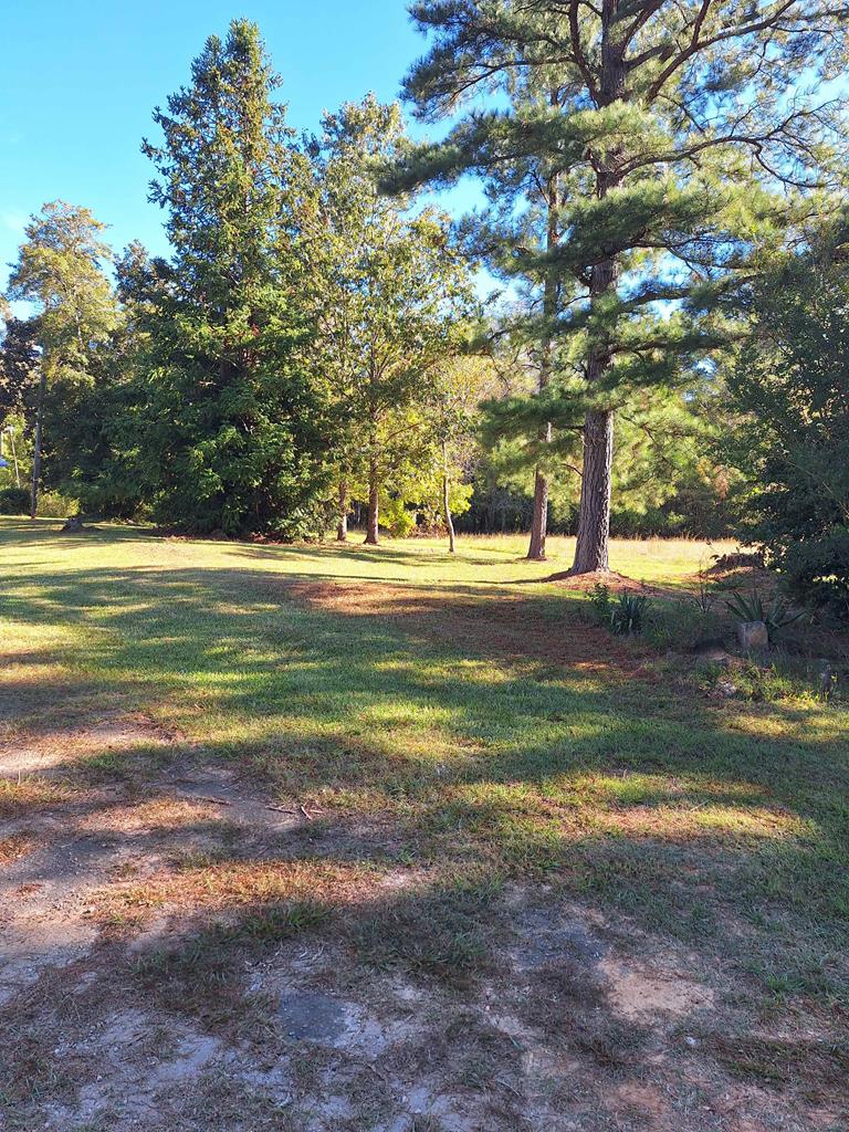 4628 Callison Road Bradley, SC 29819 - Photo 18 of 21
