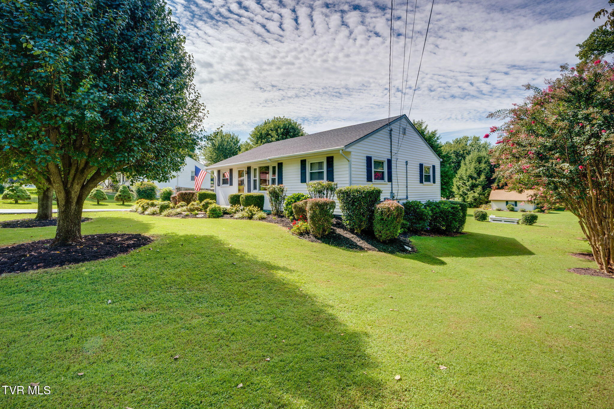113 Reed Avenue Greeneville, TN 37743 - Photo 4 of 31 003 (2) (1)