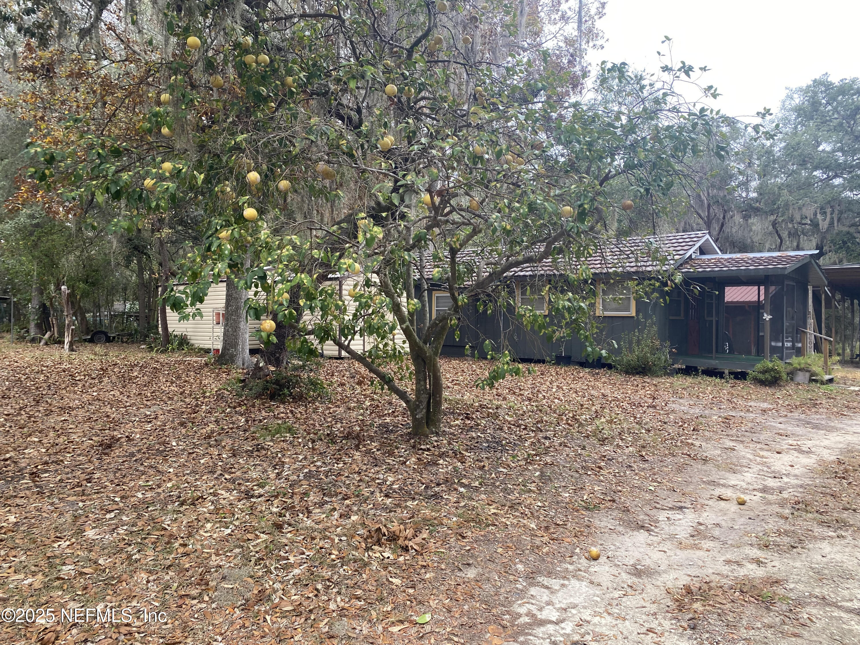 8093 Breezy Point Road East Keystone Heights, FL 32656 - Photo 33 of 35 COTTAGE 2