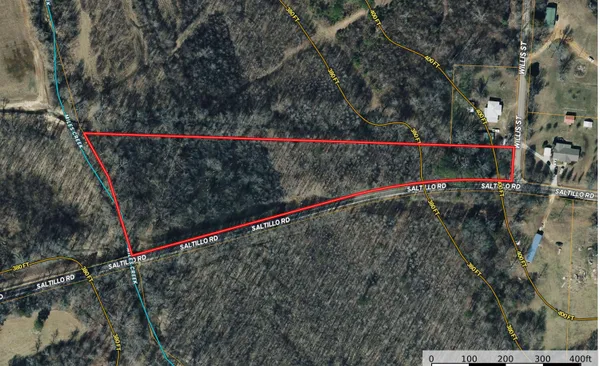 a view of under a large tree