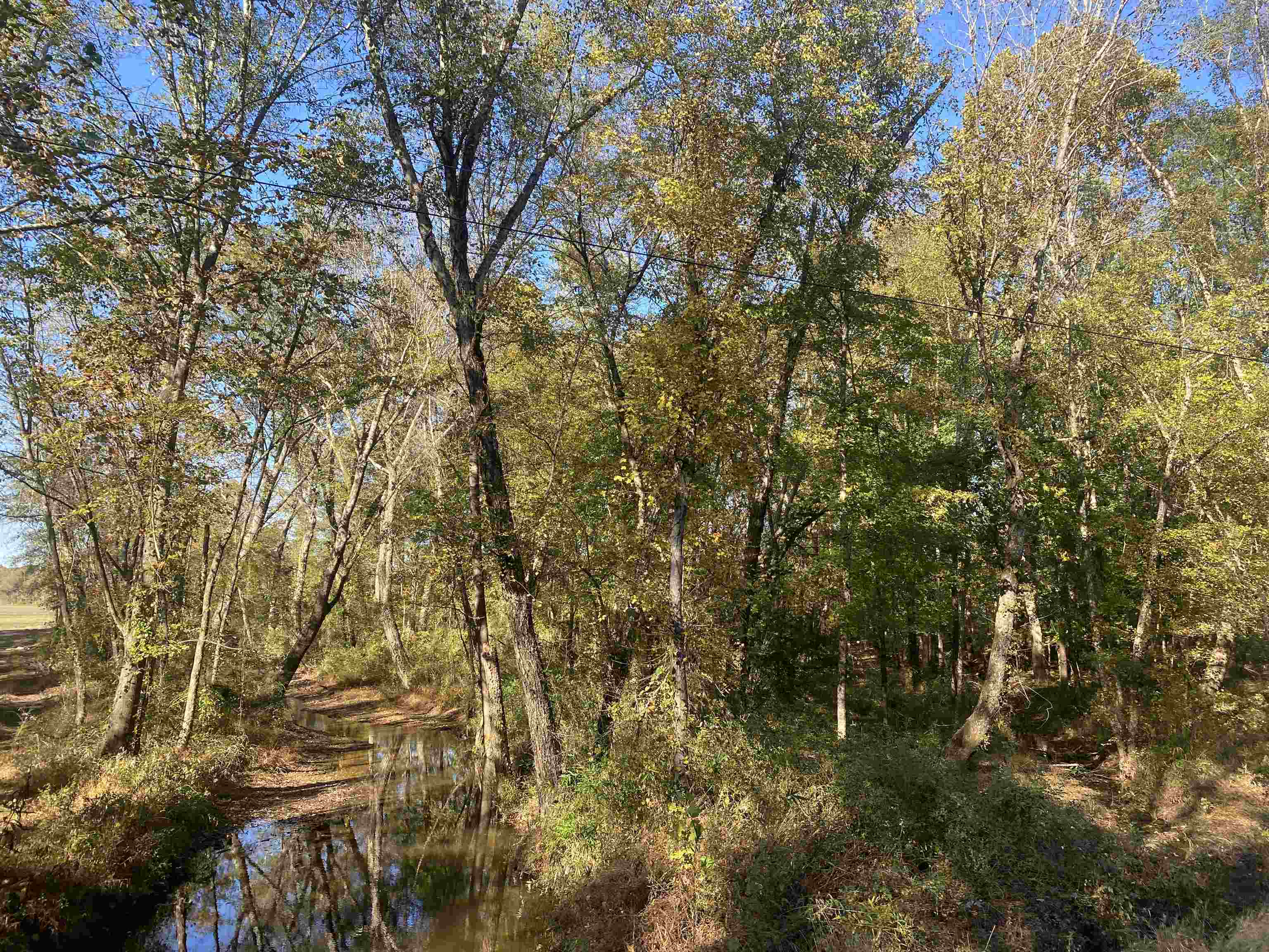 1 Saltillo Road Saltillo, TN 38370 - Photo 2 of 7 a view of a yard