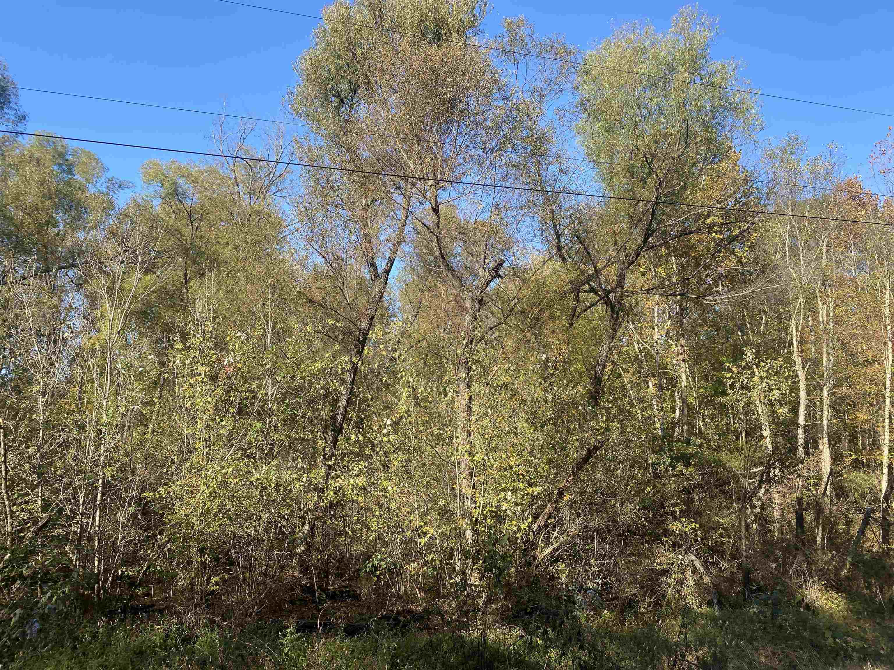 1 Saltillo Road Saltillo, TN 38370 - Photo 4 of 7 a view of a building