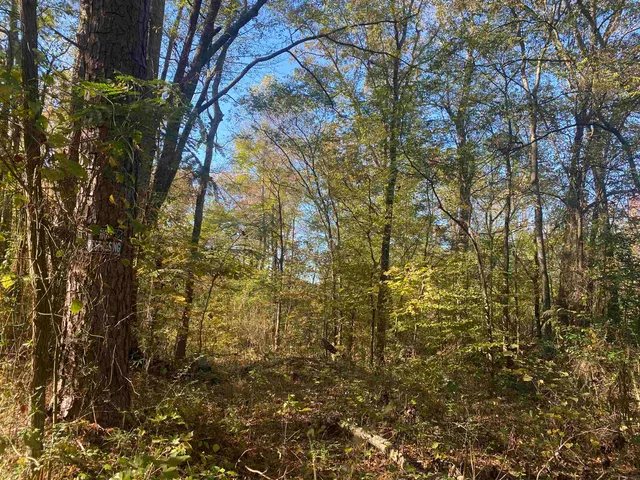 $25,000 | 1 Saltillo Road, Saltillo, TN 38370