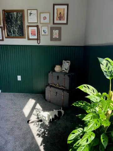 a garden view with a seating space