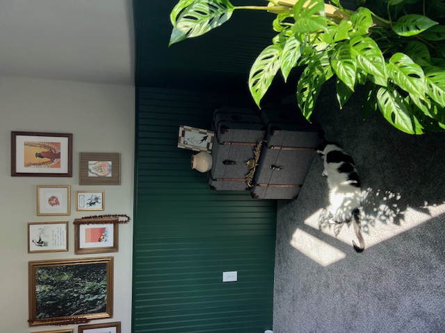 14110 Luisium View, Unit 72 Pflugerville, TX 78660 - Photo 19 of 21 a living room with furniture