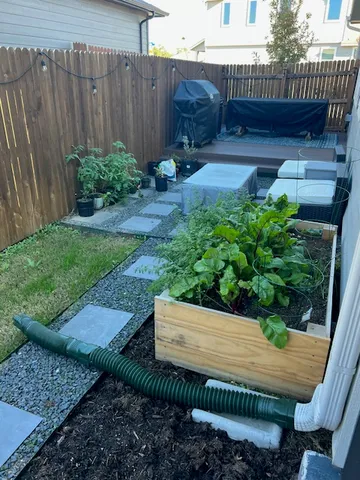 a view of a garden with a tree