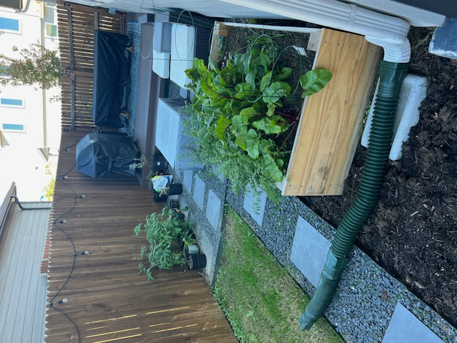 14110 Luisium View, Unit 72 Pflugerville, TX 78660 - Photo 20 of 21 a garden view with a seating space